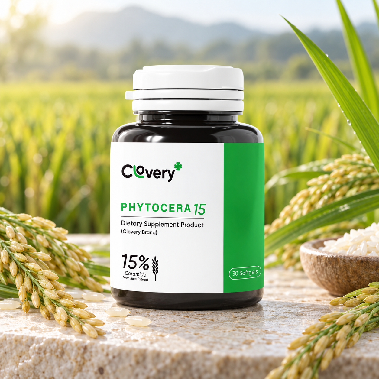 PHYTOCERA15
